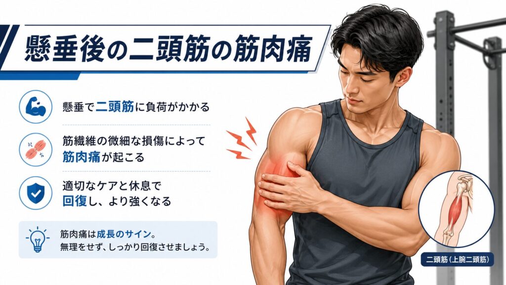 懸垂後の二頭筋の筋肉痛