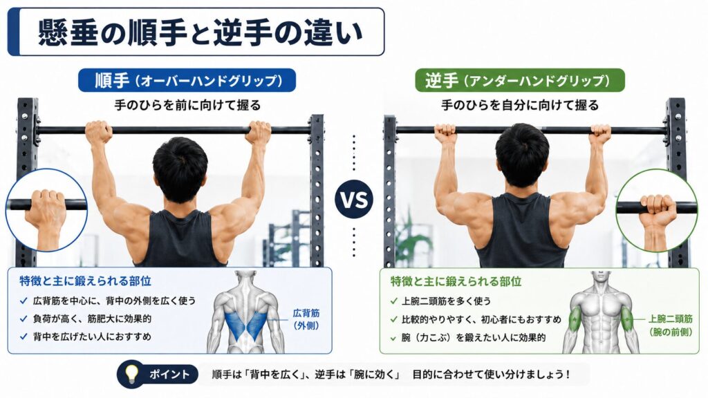 懸垂の順手と逆手の違い