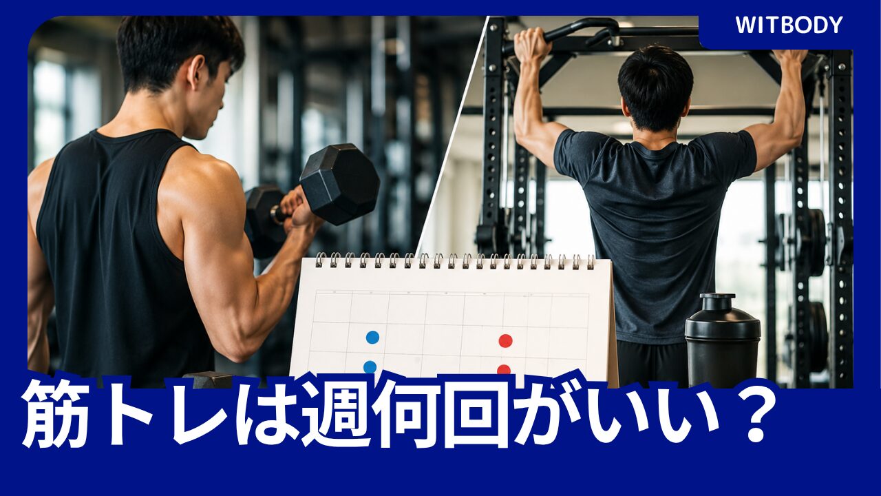 筋トレは週何回がいいかをテーマに、ダンベルカールと懸垂、週間トレーニング計画を表現したアイキャッチ画像